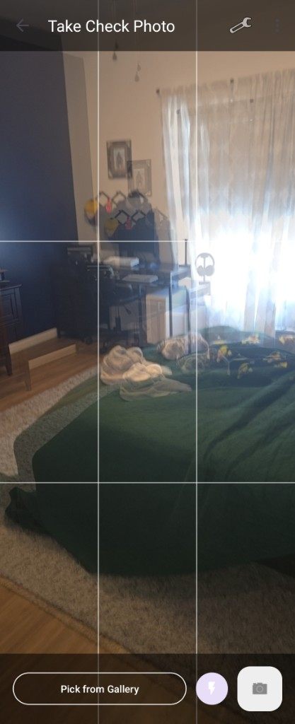 Camera with ghost overlay and grid